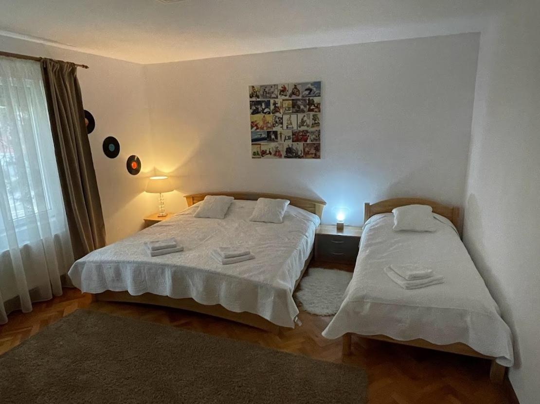 Crisan 40 Casa Muntean 100Mp 3Camere 3Paturi 1 Canapea 2 Dormitoare Parcare Тимишоара Экстерьер фото