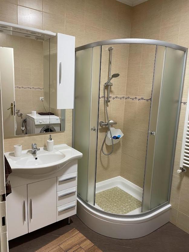 Crisan 40 Casa Muntean 100Mp 3Camere 3Paturi 1 Canapea 2 Dormitoare Parcare Тимишоара Экстерьер фото