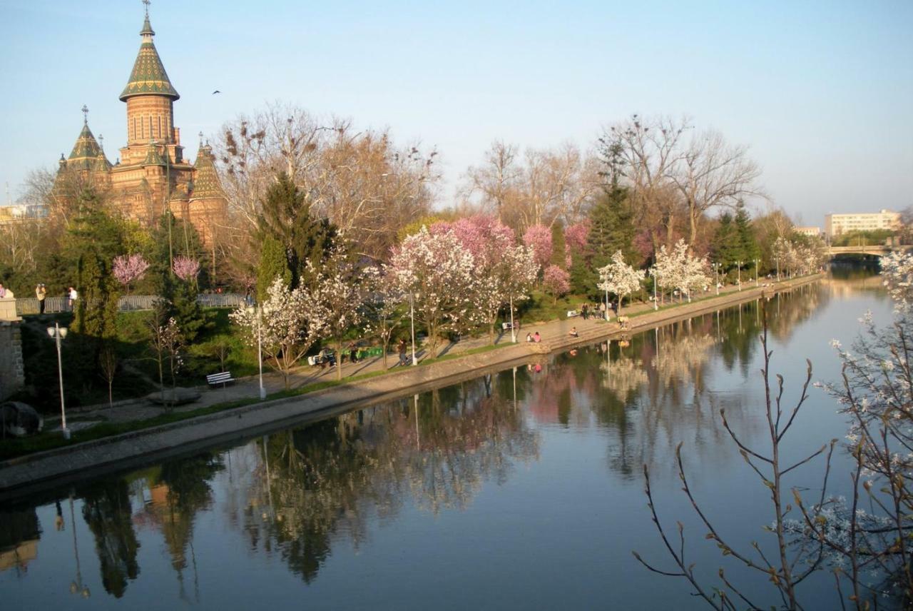 Crisan 40 Casa Muntean 100Mp 3Camere 3Paturi 1 Canapea 2 Dormitoare Parcare Тимишоара Экстерьер фото